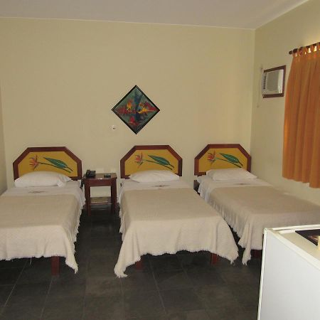 Alfenas Palace Hotel Esterno foto